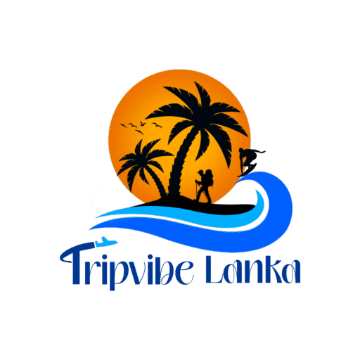 tripvibe logo